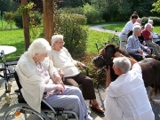 Besuch der Minipferde in der Seniorenpension in Lockenhaus