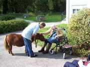 Besuch der Minipferde in der Seniorenpension in Lockenhaus