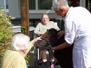 Besuch der Minipferde in der Seniorenpension in Lockenhaus